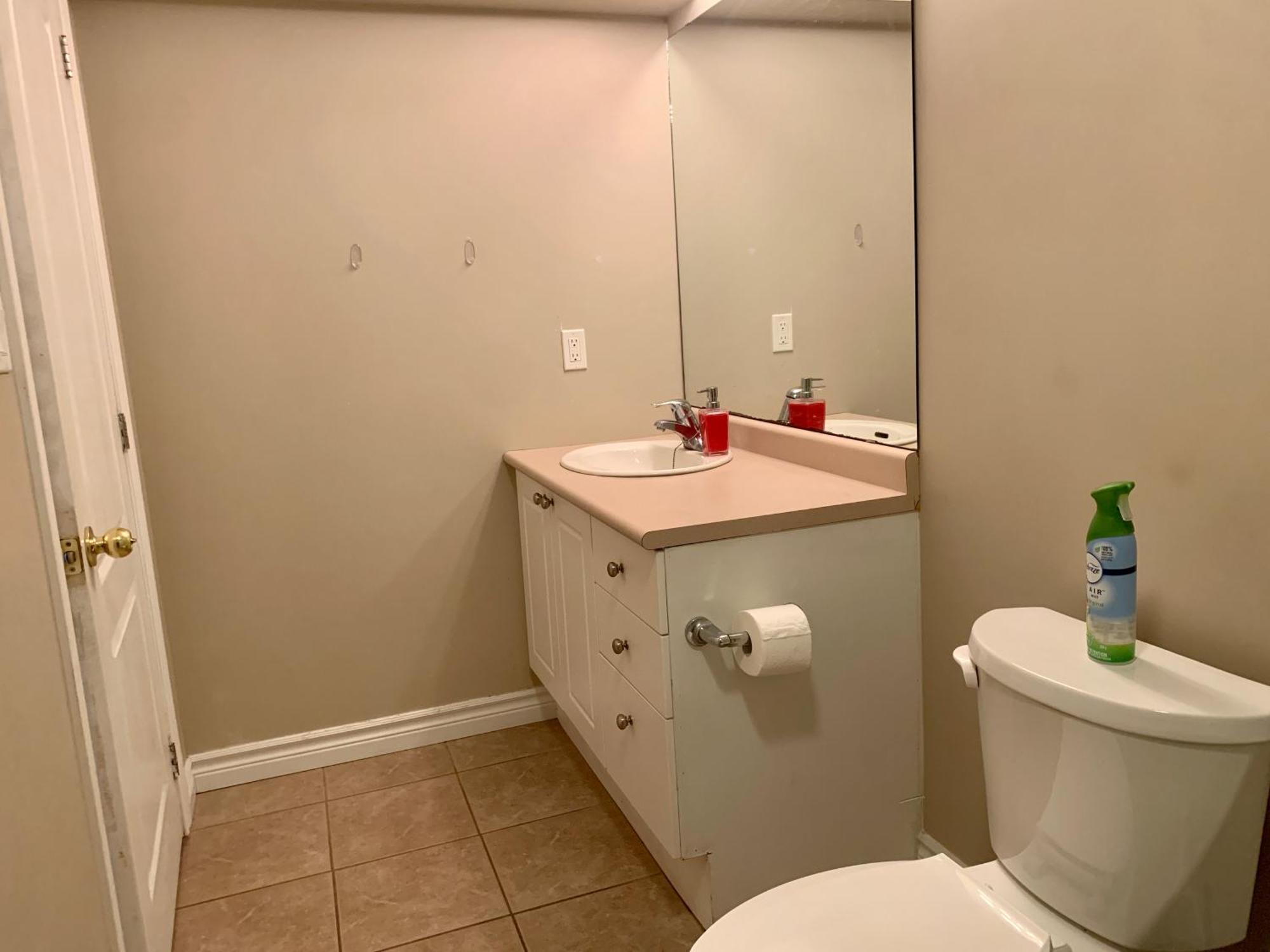 1 Room In A Cozy And Beautiful Basement Гуелф Екстериор снимка